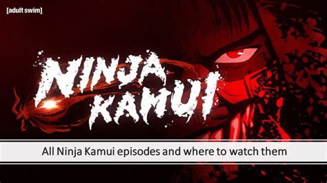 ninja kamui release schedule